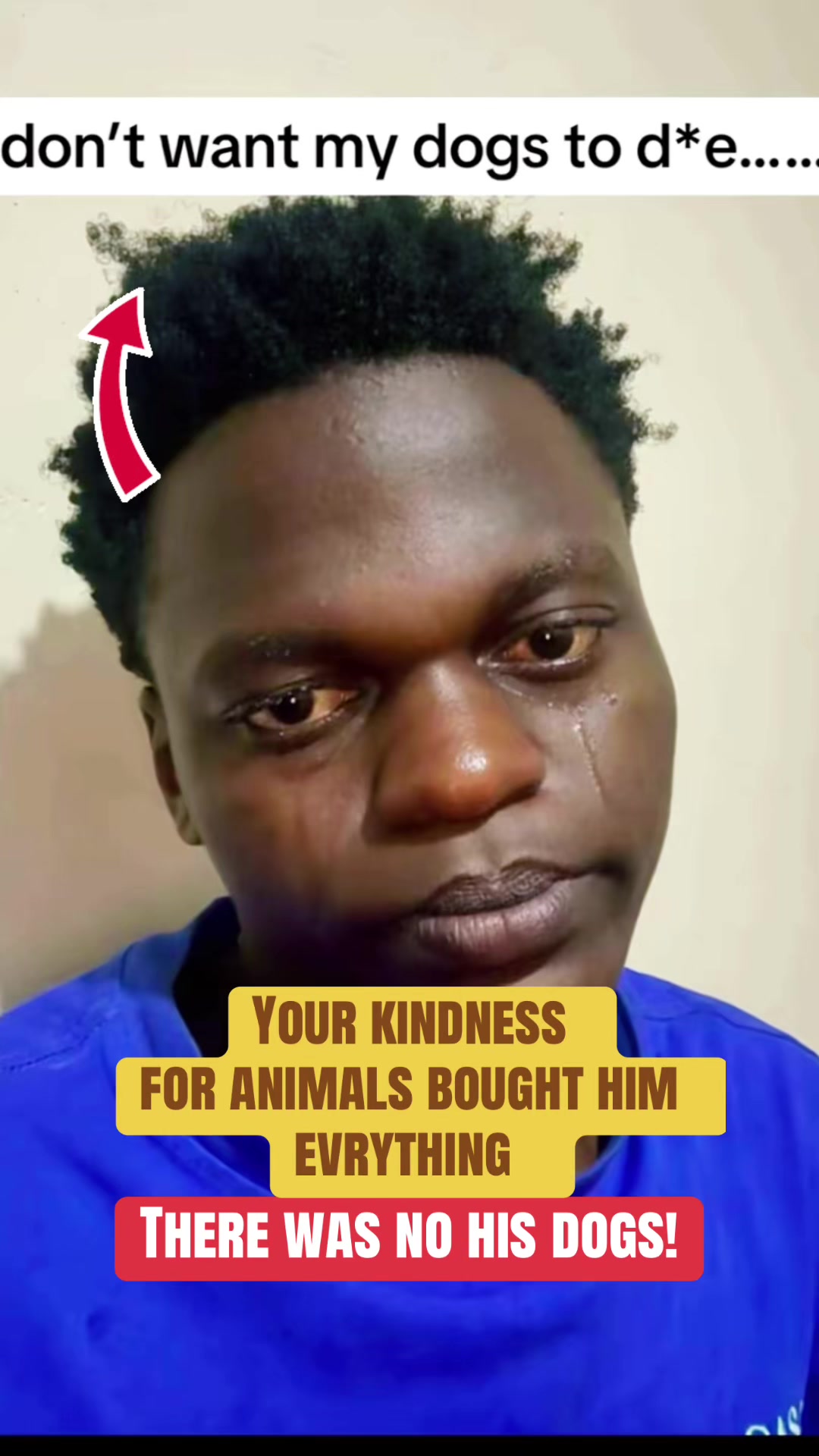 @SICK OF ANIMAL SCAM