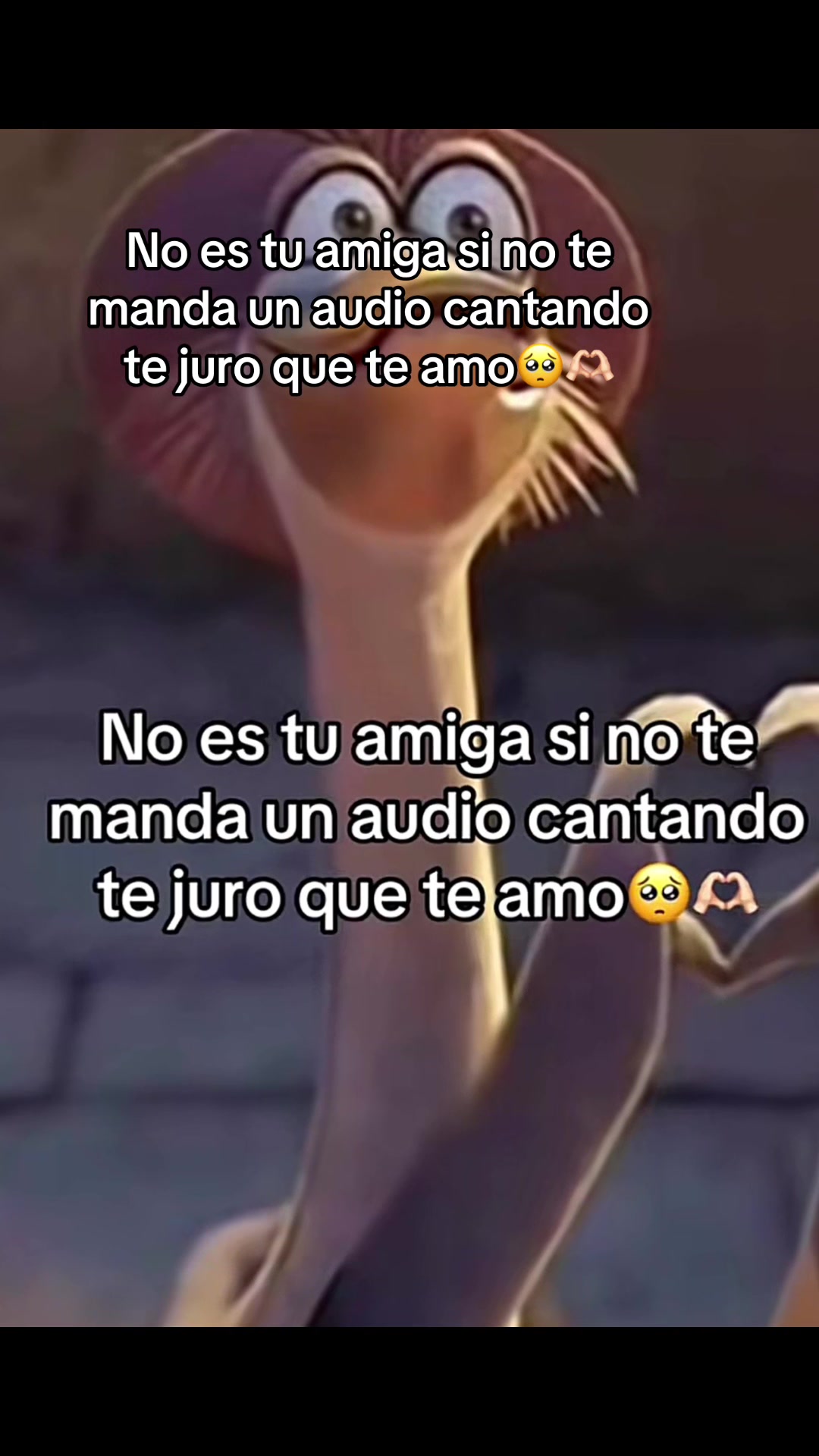 @La chatta