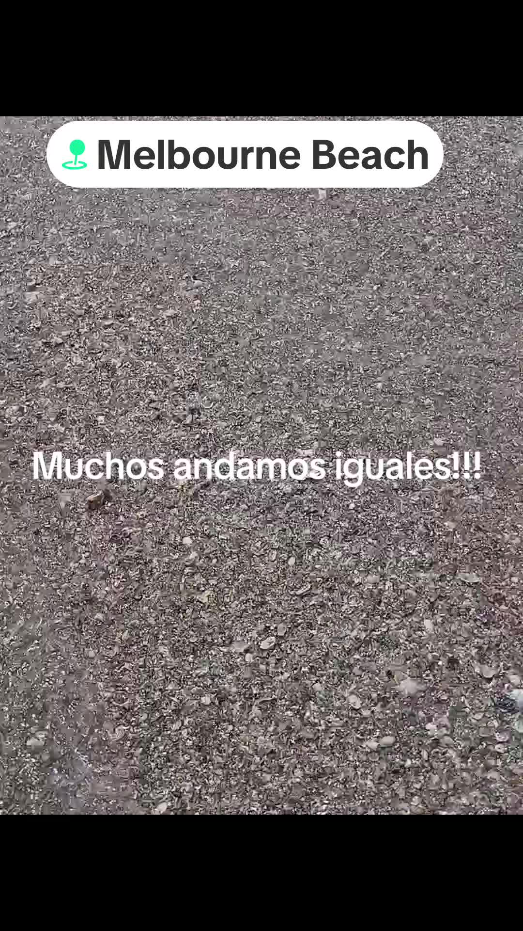 @patricia marti