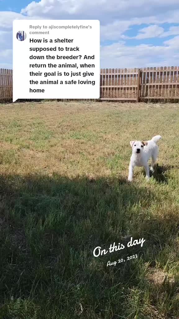 @Avalanche Acres JRTs