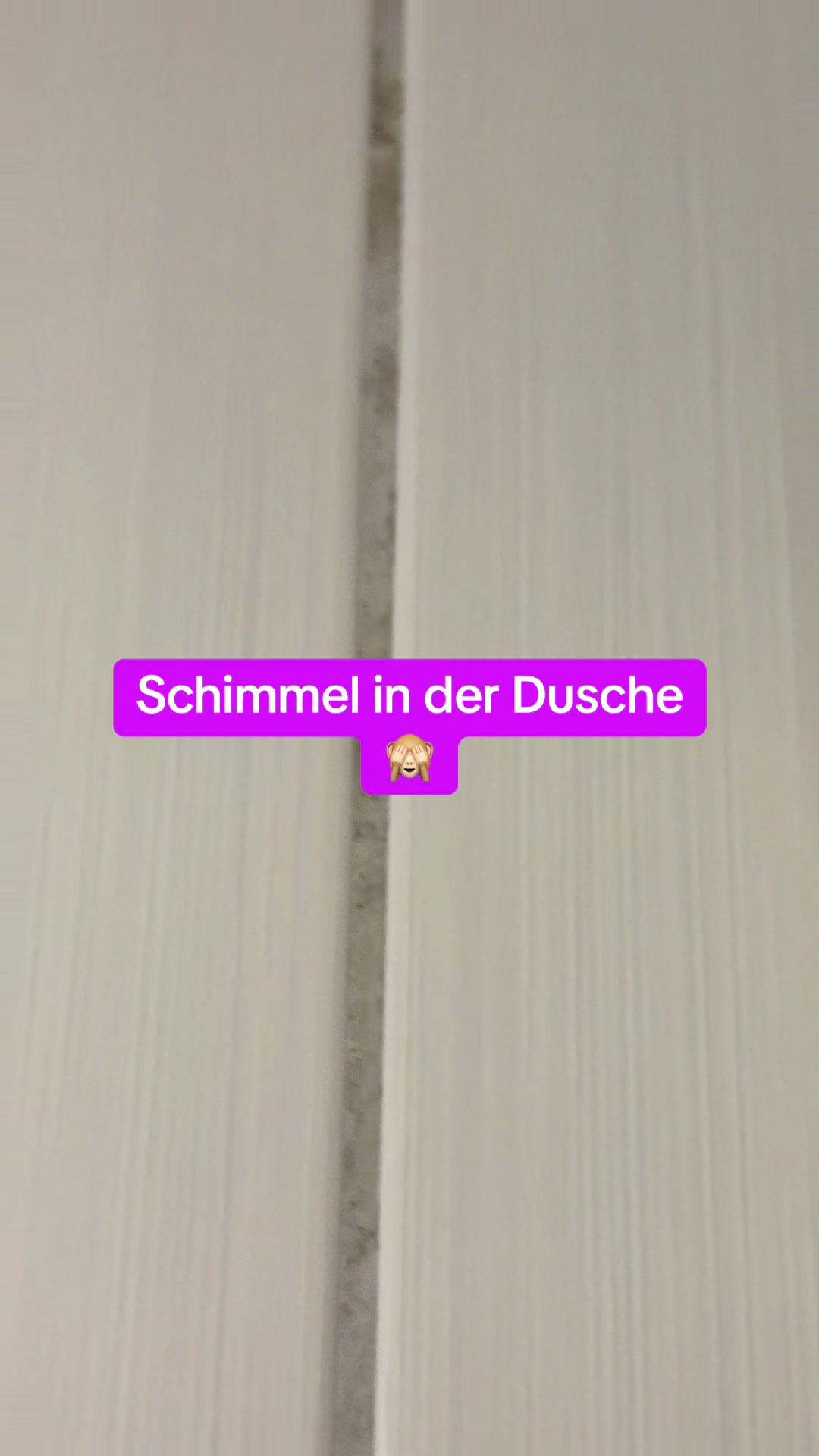@Braunici