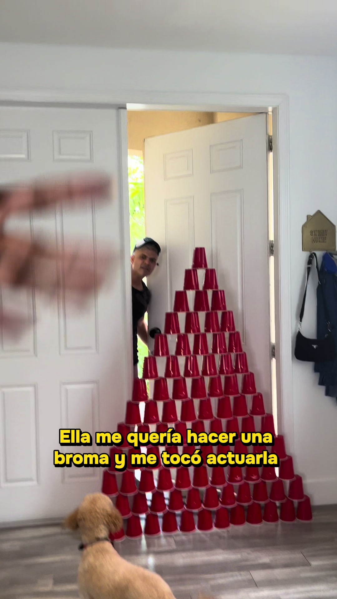@JuanDeMontreal