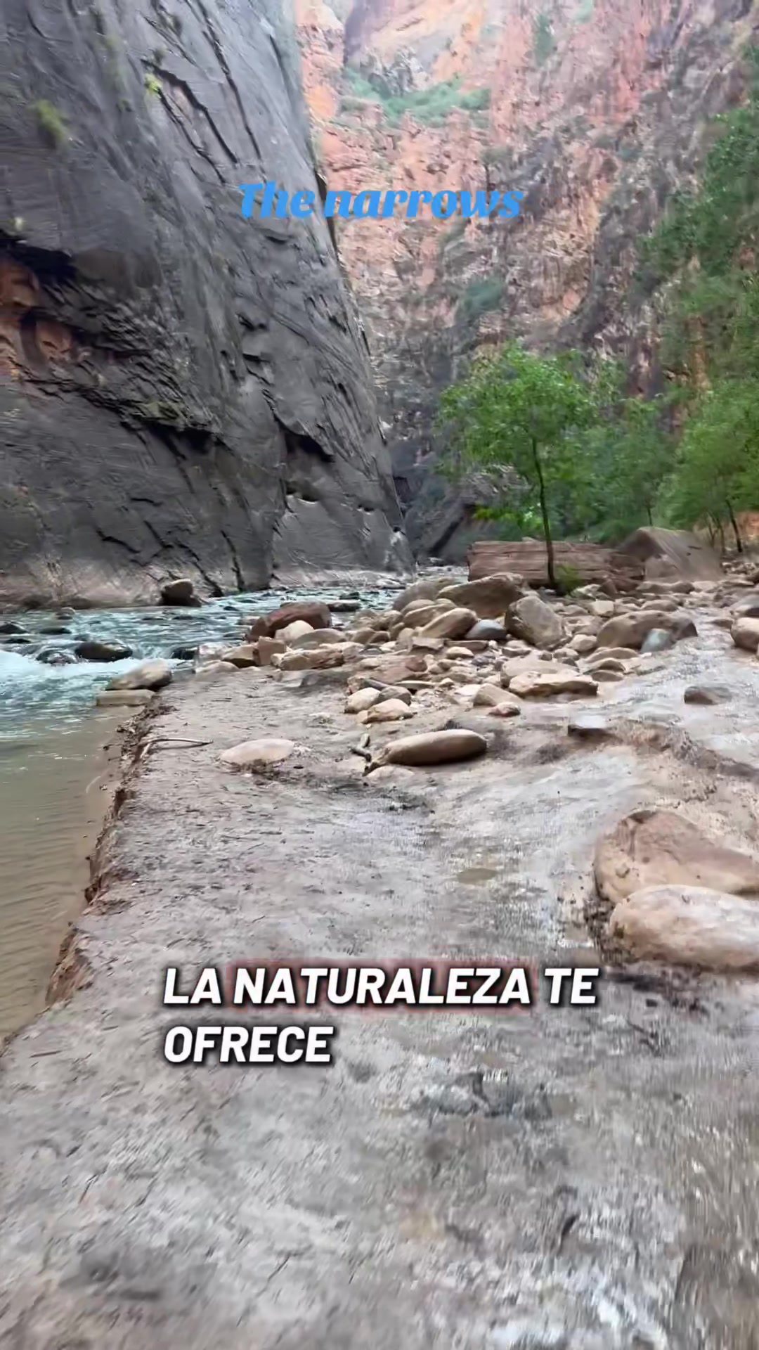 @Ame de ram