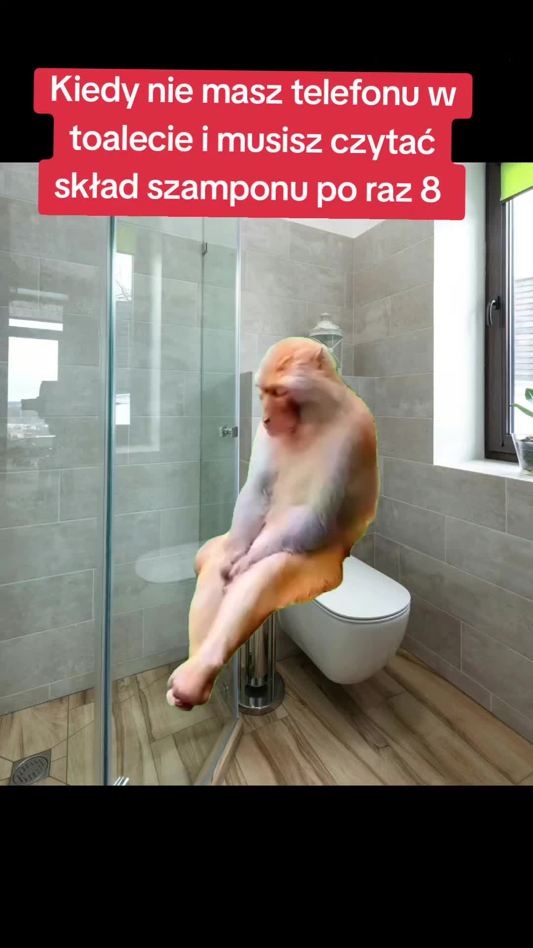 @joana_joana