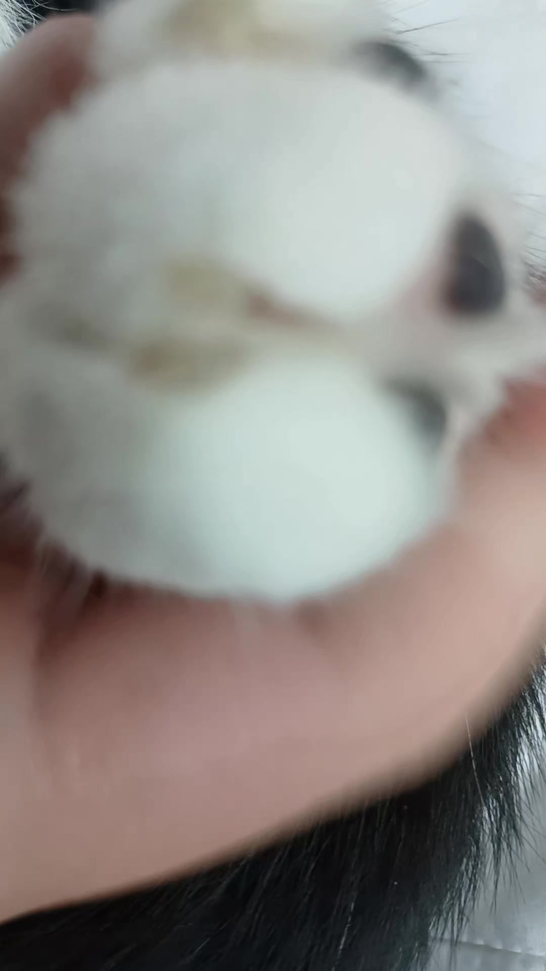 @에겐