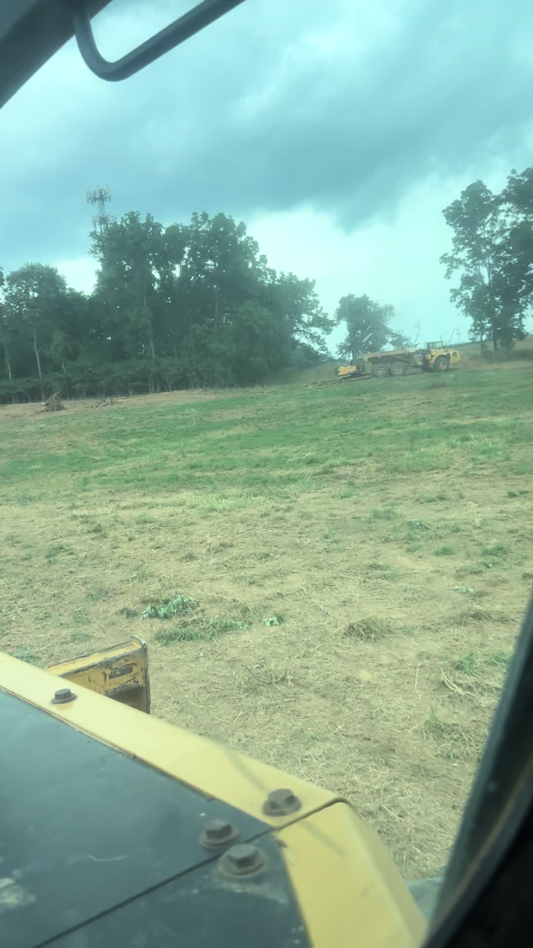 @Ron Bull The tree surgeon