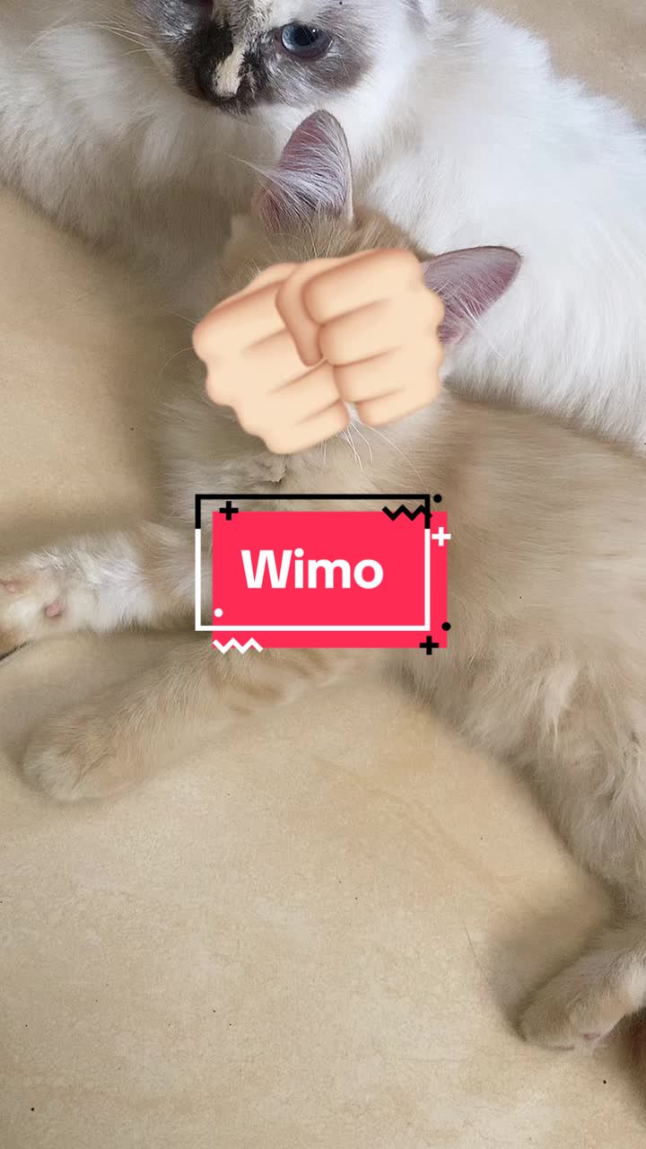 @unothemaincoon