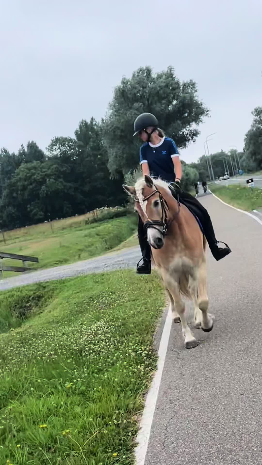 @Sanne-Jasmijn💗⭐️