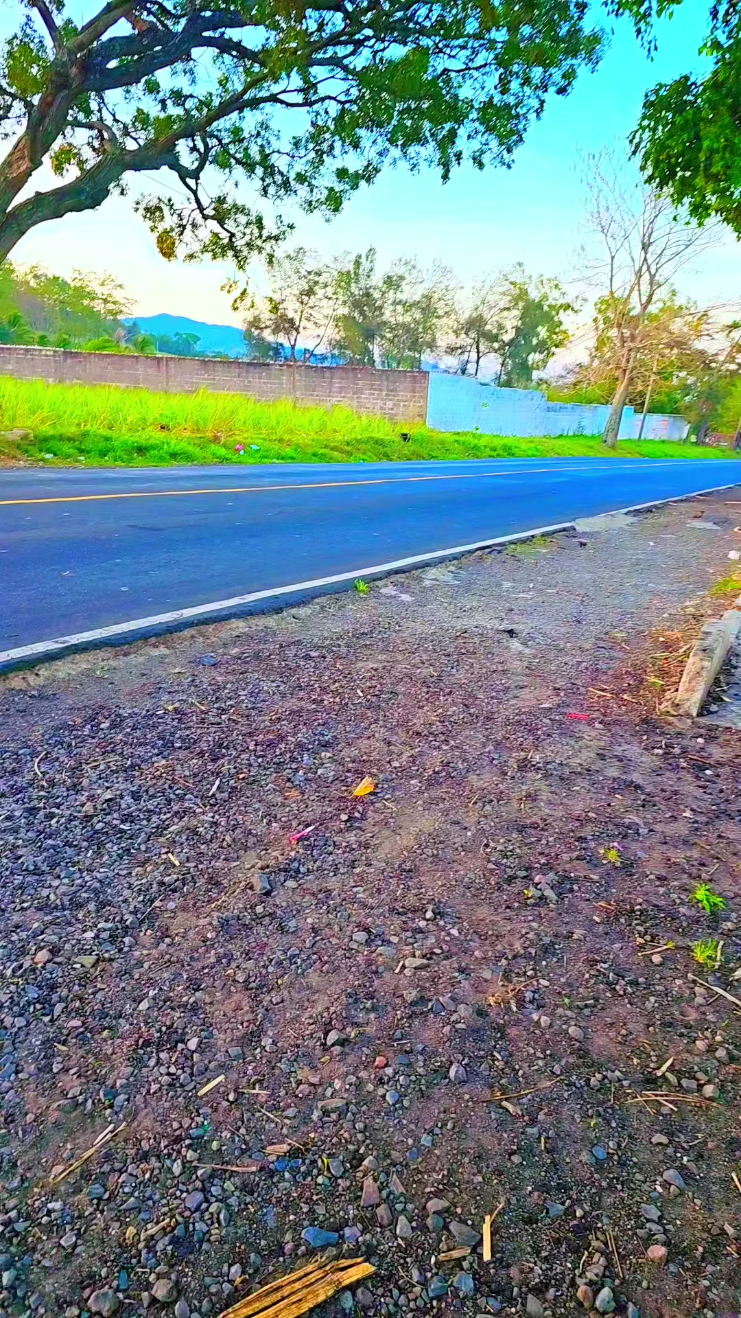 @alex💯 🧃la rojita❤️🔥🇸🇻