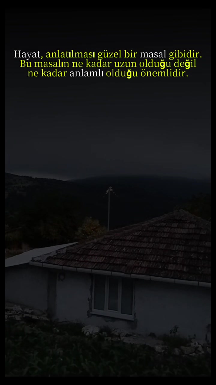 @🐺 𐰼𐰀𐰃𐰾 🐺