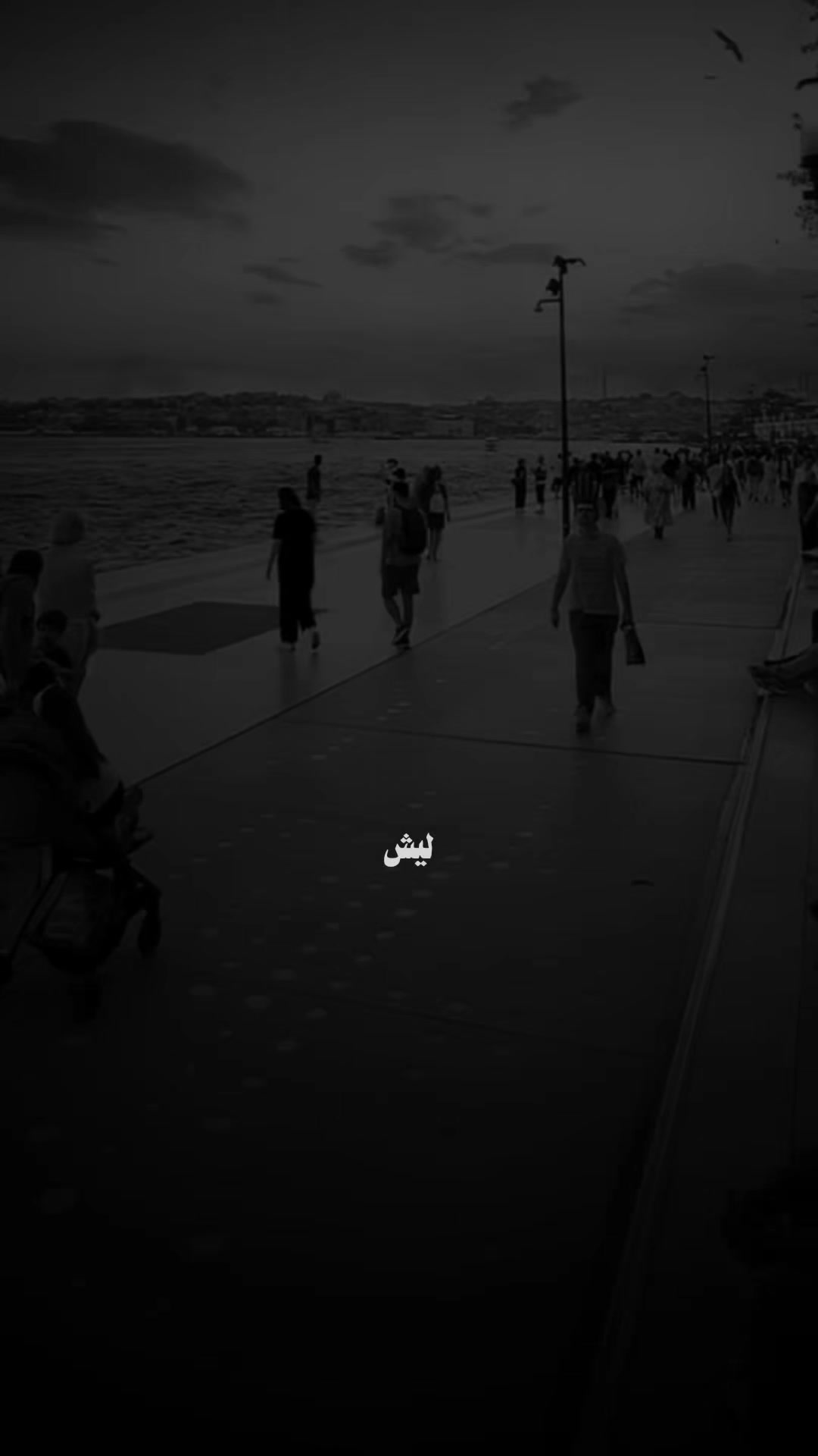 @♯̶ضـيـ۾ ــ 𝐇𝐚𝐥𝐞𝐛𝐢↻