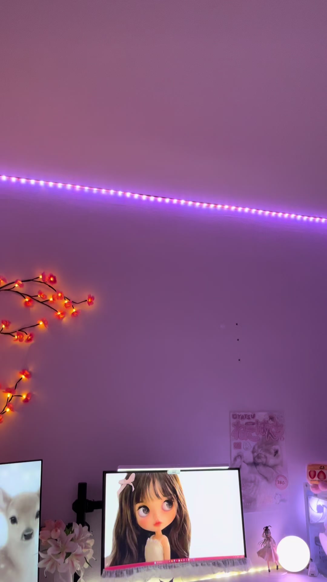 @nls ✮⋆˙