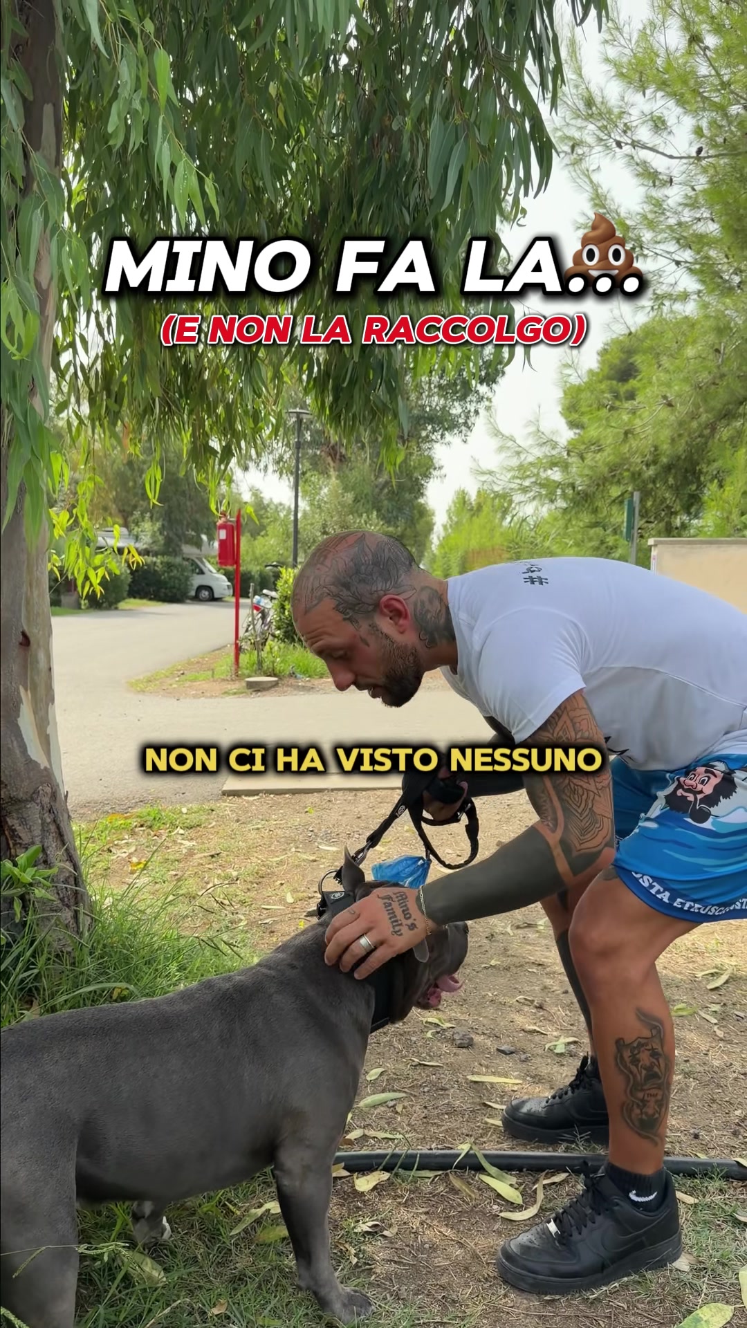 @MASSI e MINO