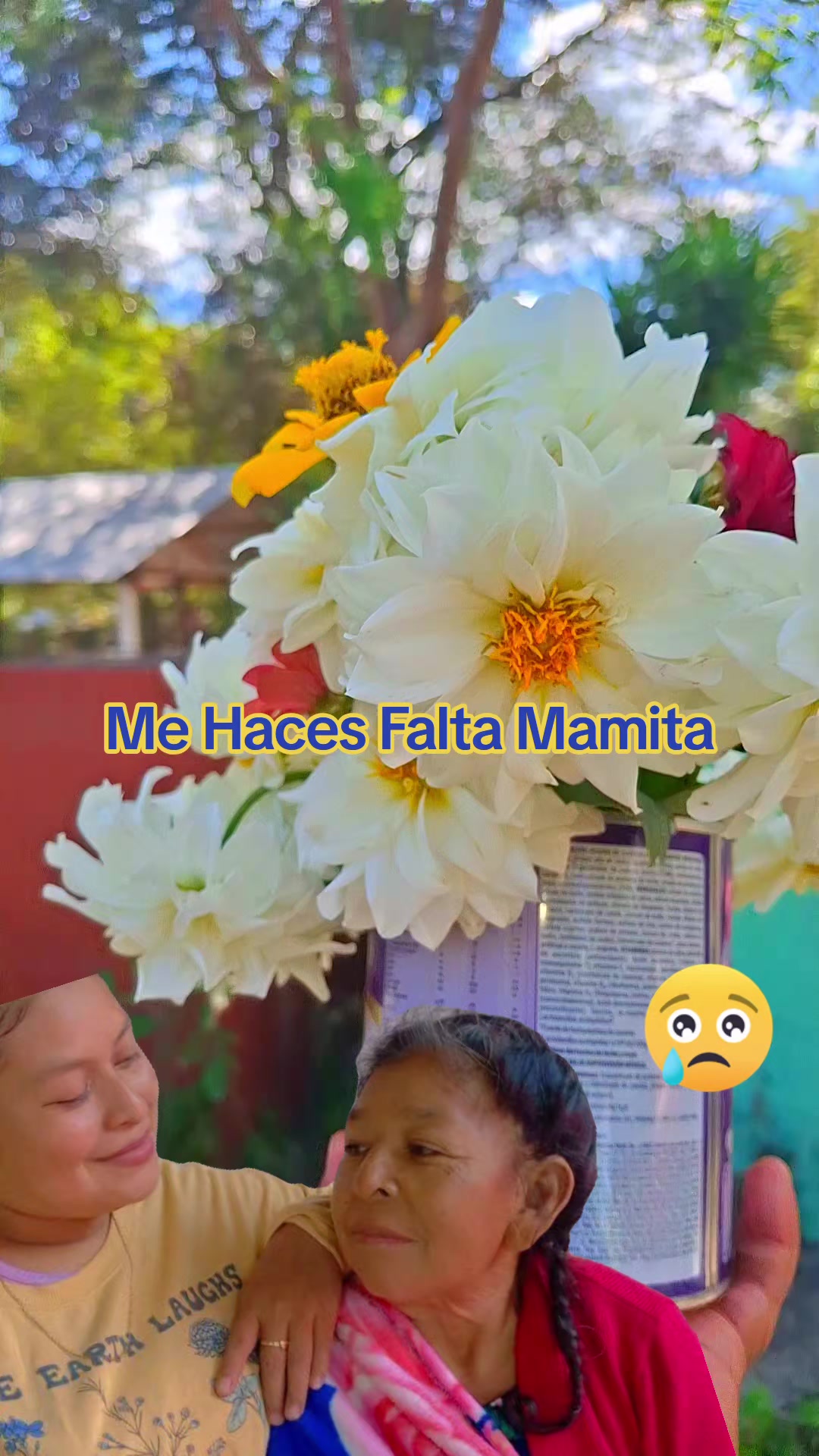 @LUCIA🥰❤️💐🪷
