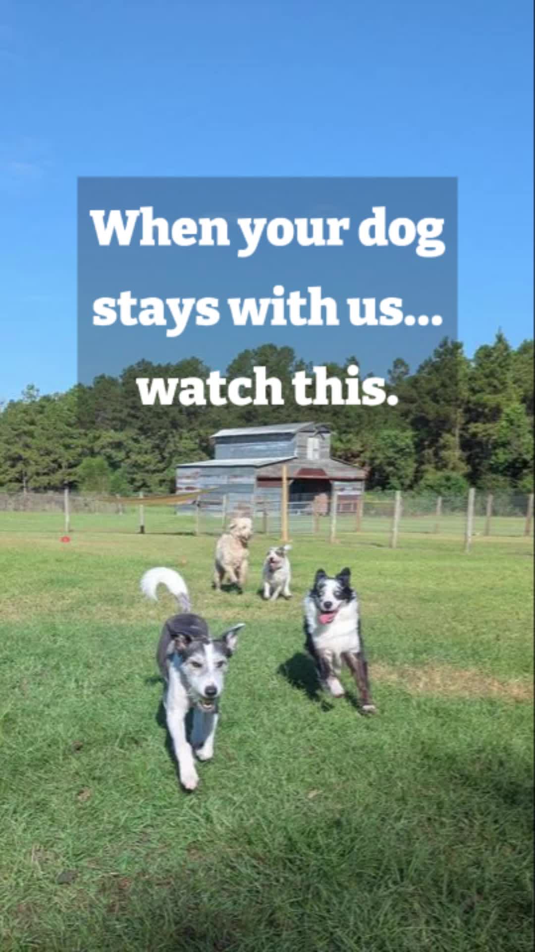 @Barks & Wildlife Longville LA