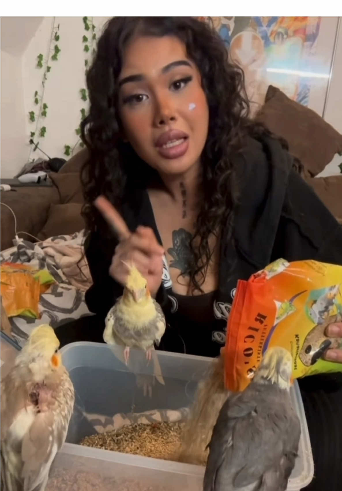 @Nafriate