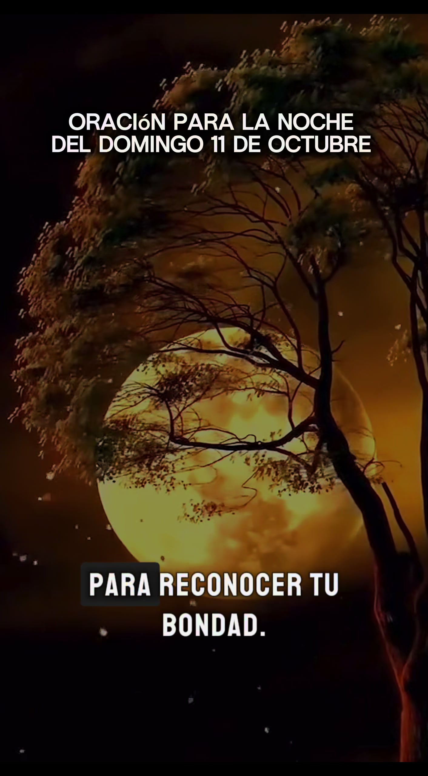 @Música del Cielo