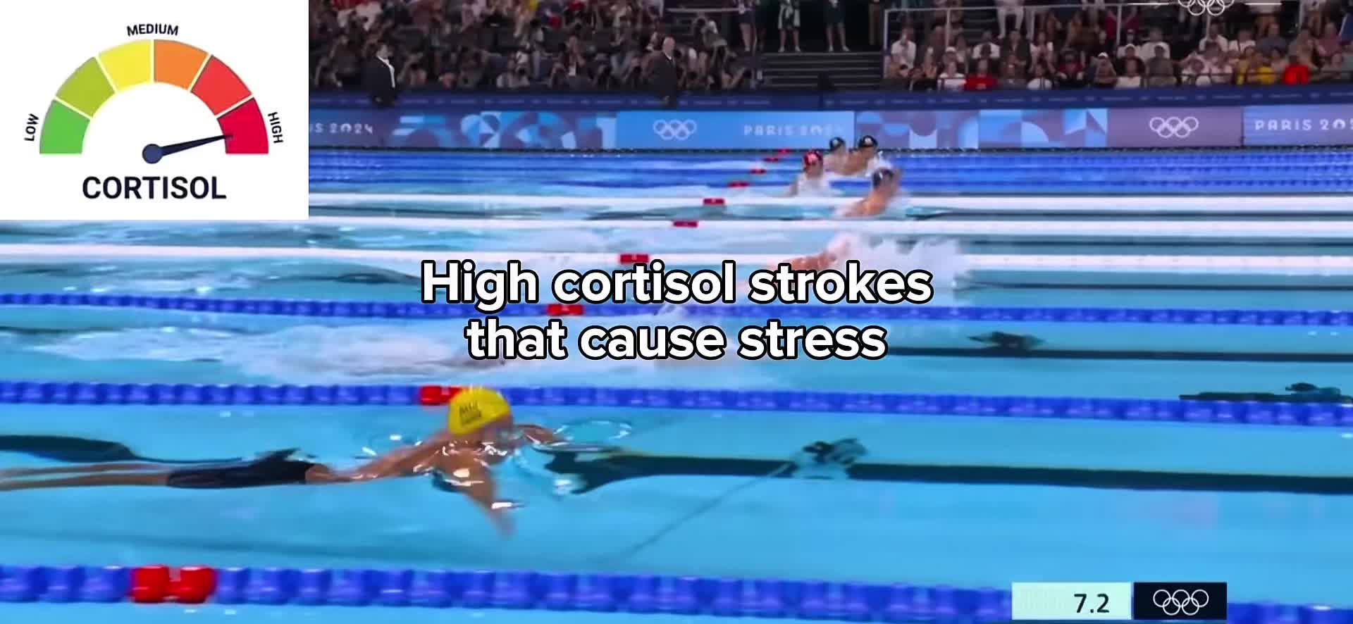 @swim..es