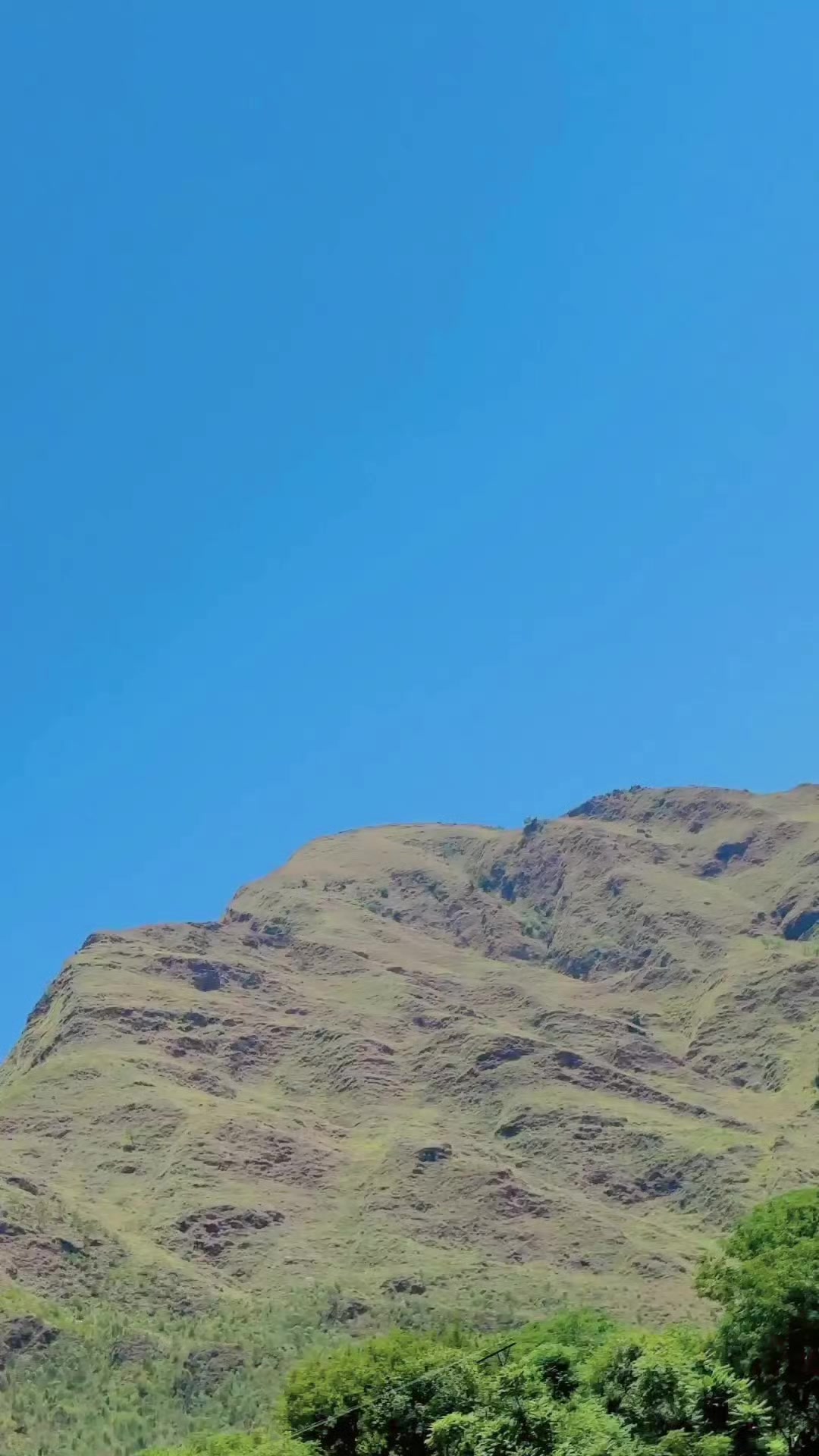 @𝗨𝗺𝗮𝗿 𝗚𝘂𝗹𝗮𝗯