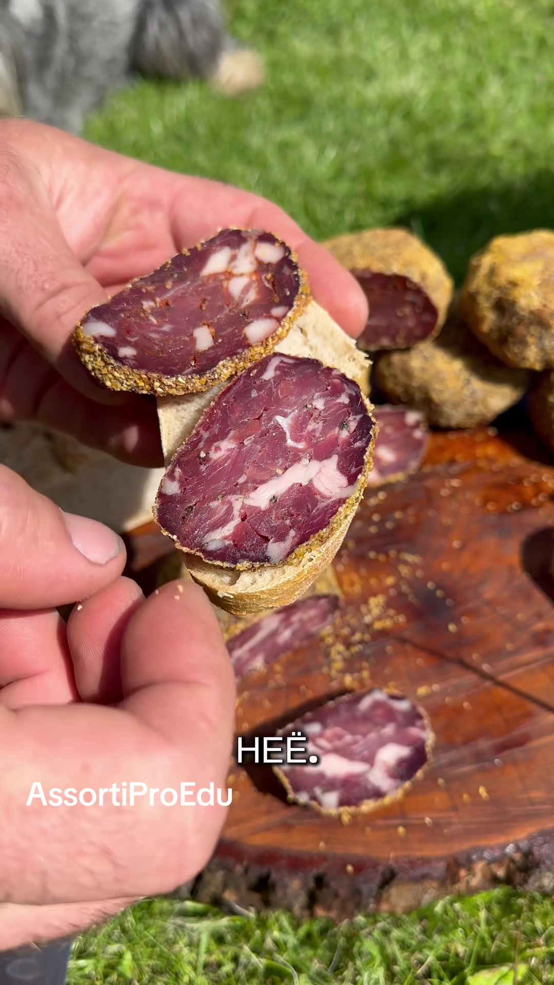 @AssortiProEdu