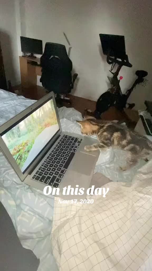 @lornagrl