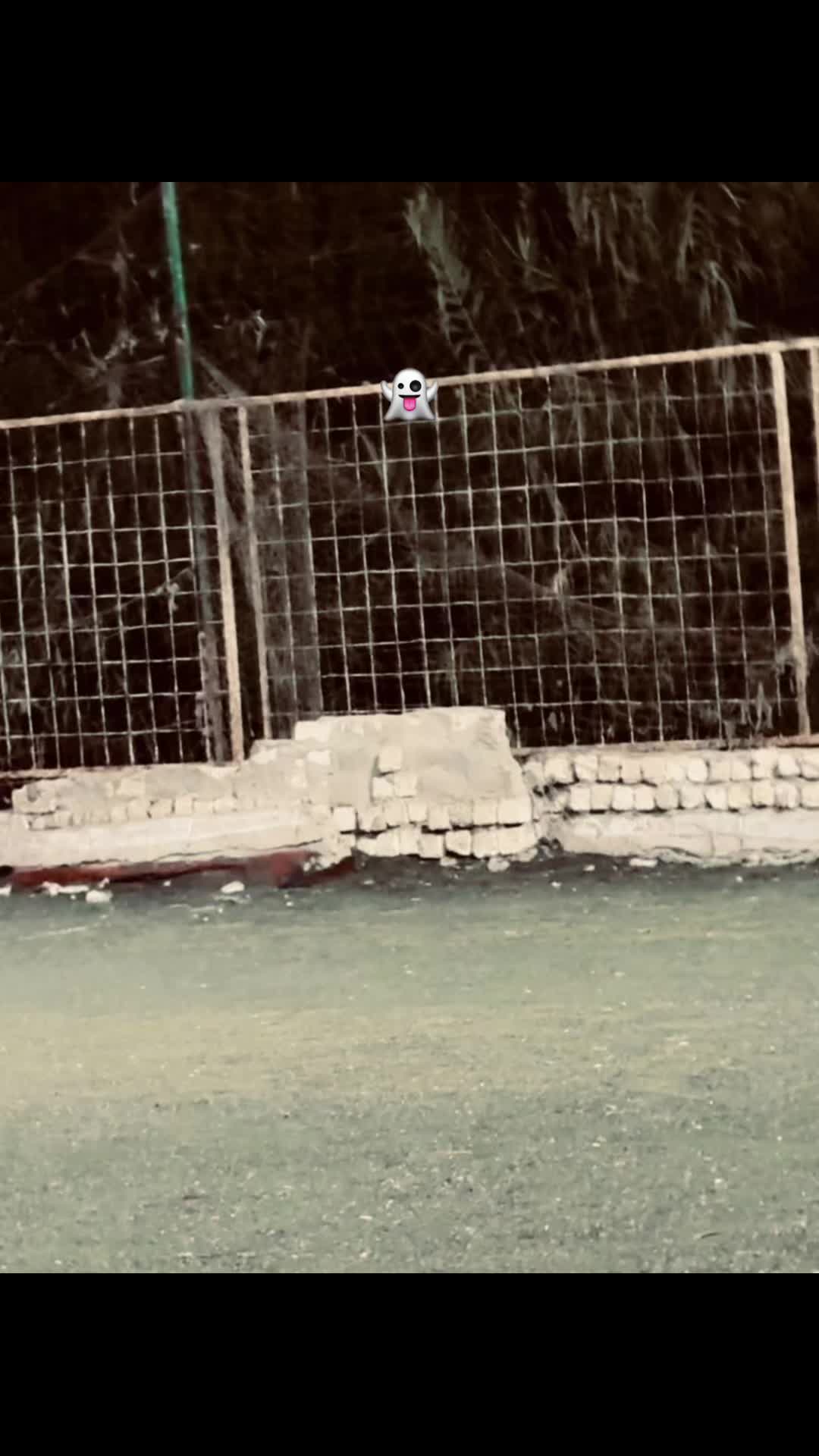 @مۘــﯜدۑْۧ||𝓜𝓸𝓸𝓭𝔂