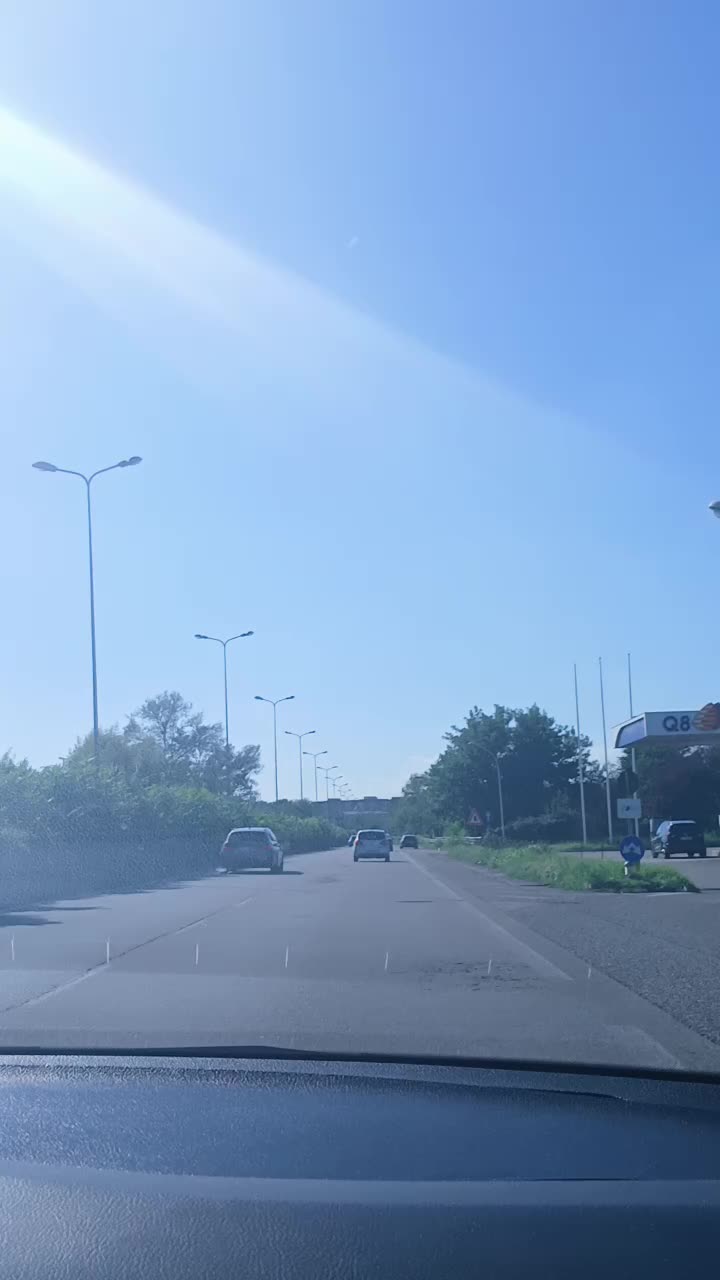 @❤Fluturaș🦋🤗Tăuraș🐃💪👀💖