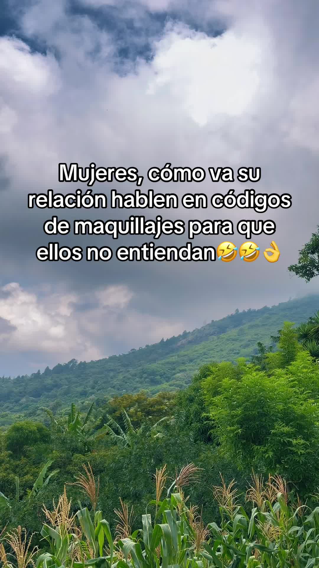 @guadalupetursios8