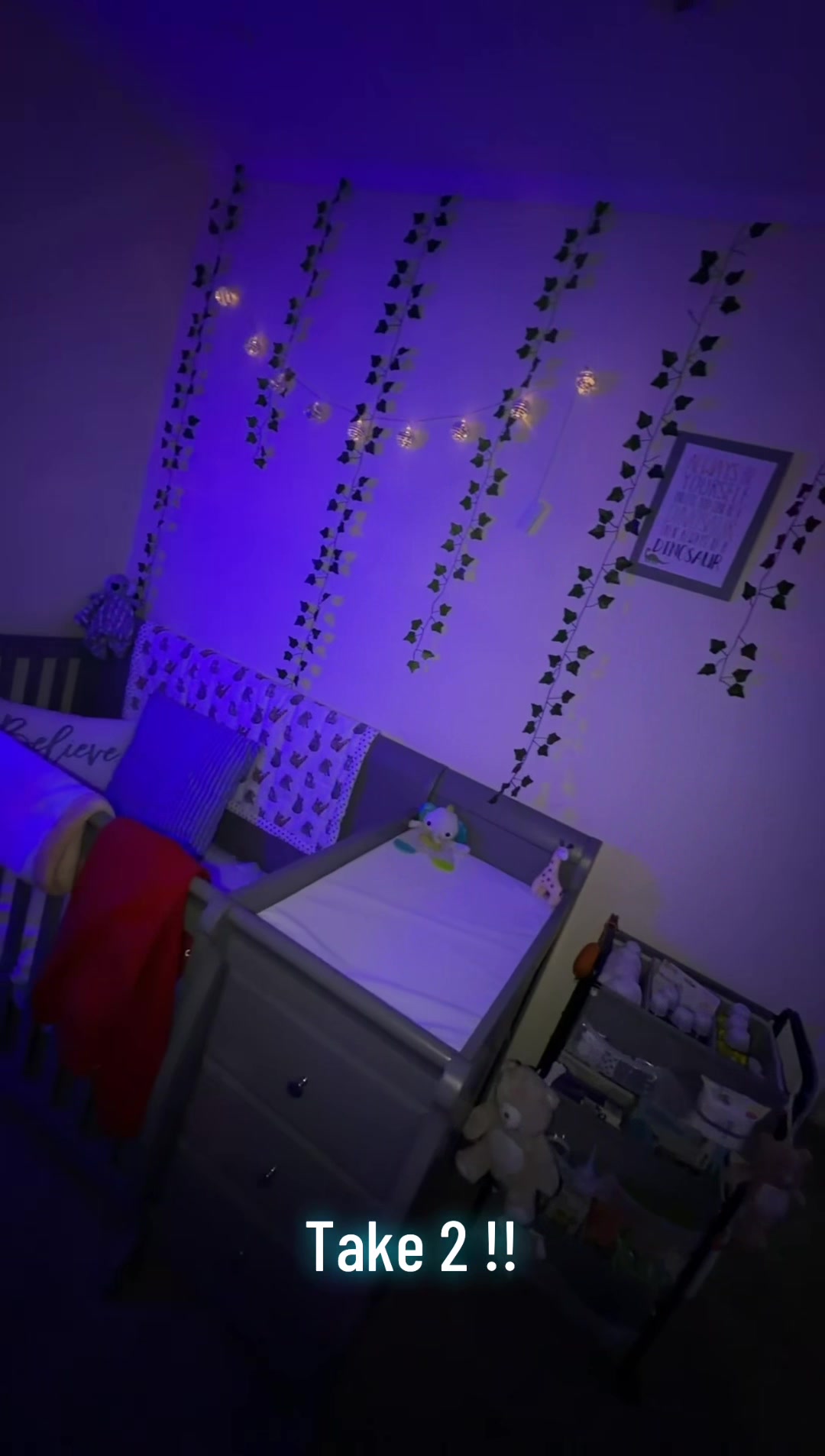 @𓆉⋆。˚⋆❀ 𝓗𝓪𝓵𝓮𝓮 🐚🫧𓇼 ˖°