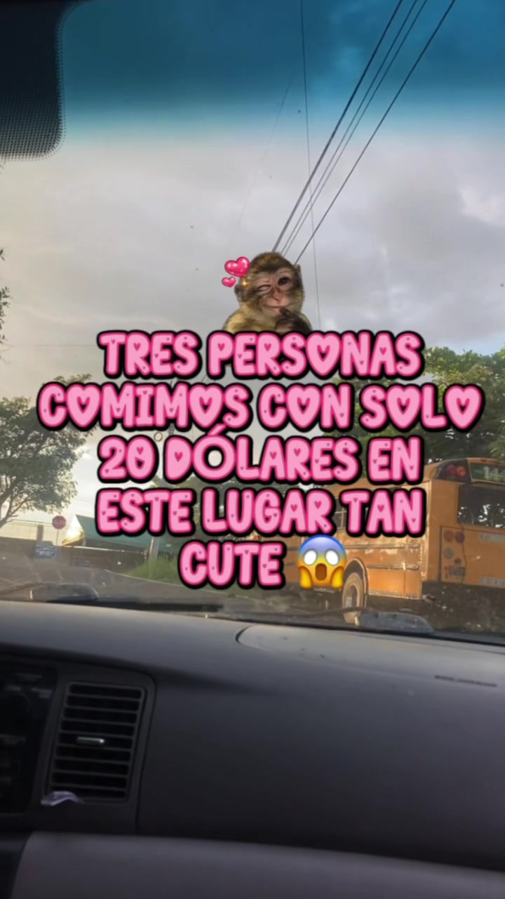 @kathe_ha14