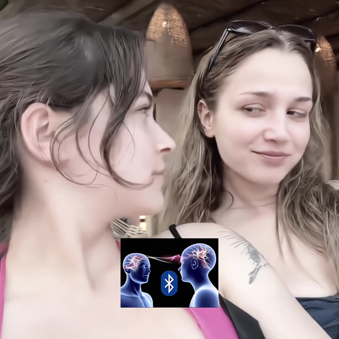 @🪽