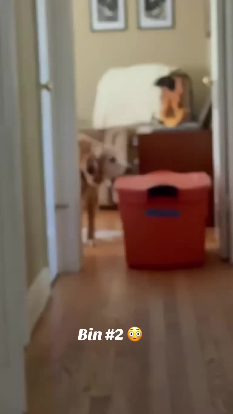 @lifewithduke2025