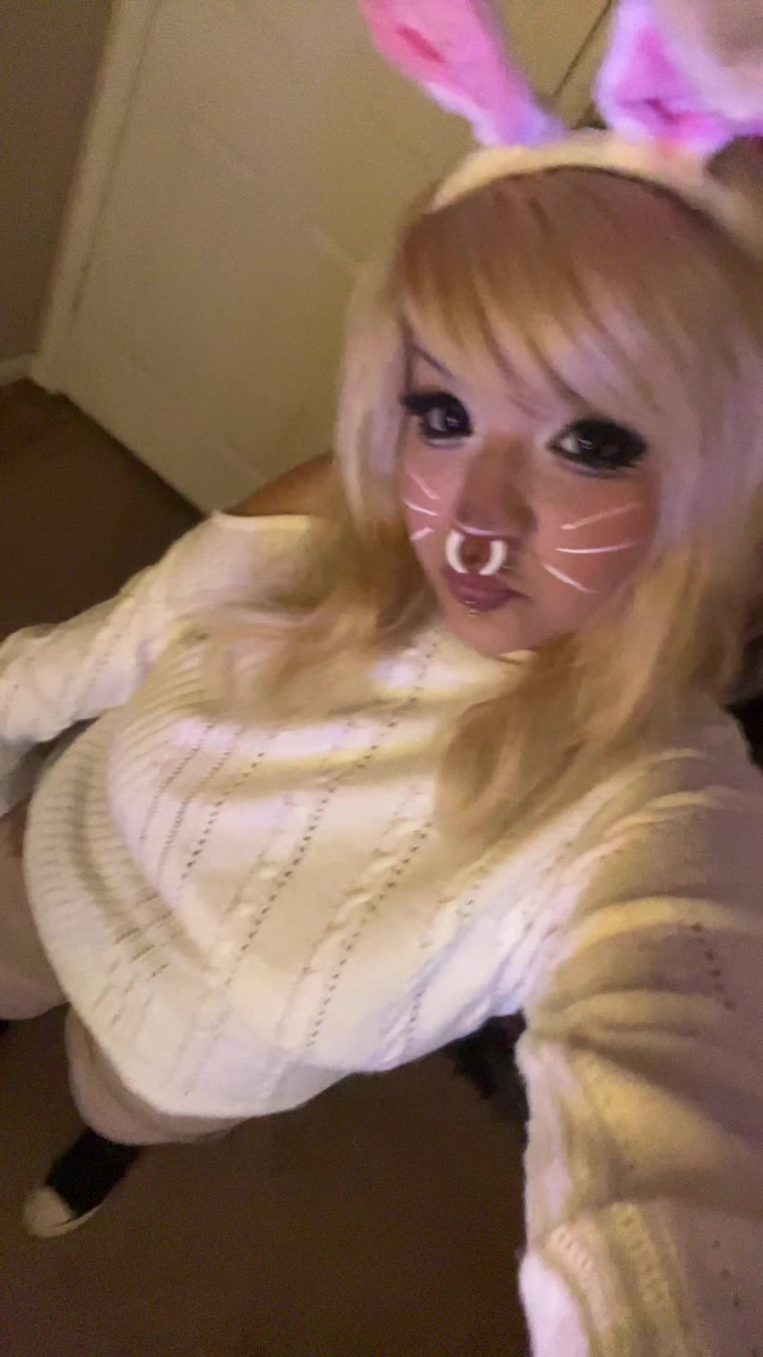 @🐾🐾