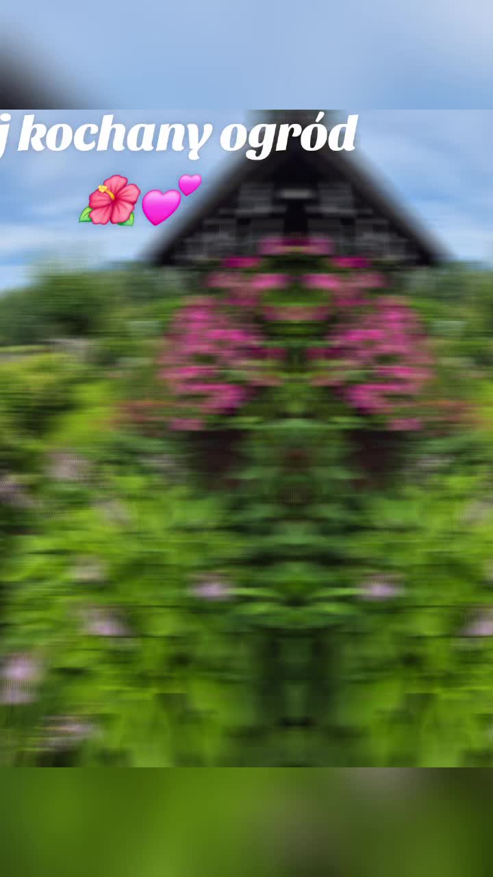 @🦁🌺🪻aasia🌺🪻