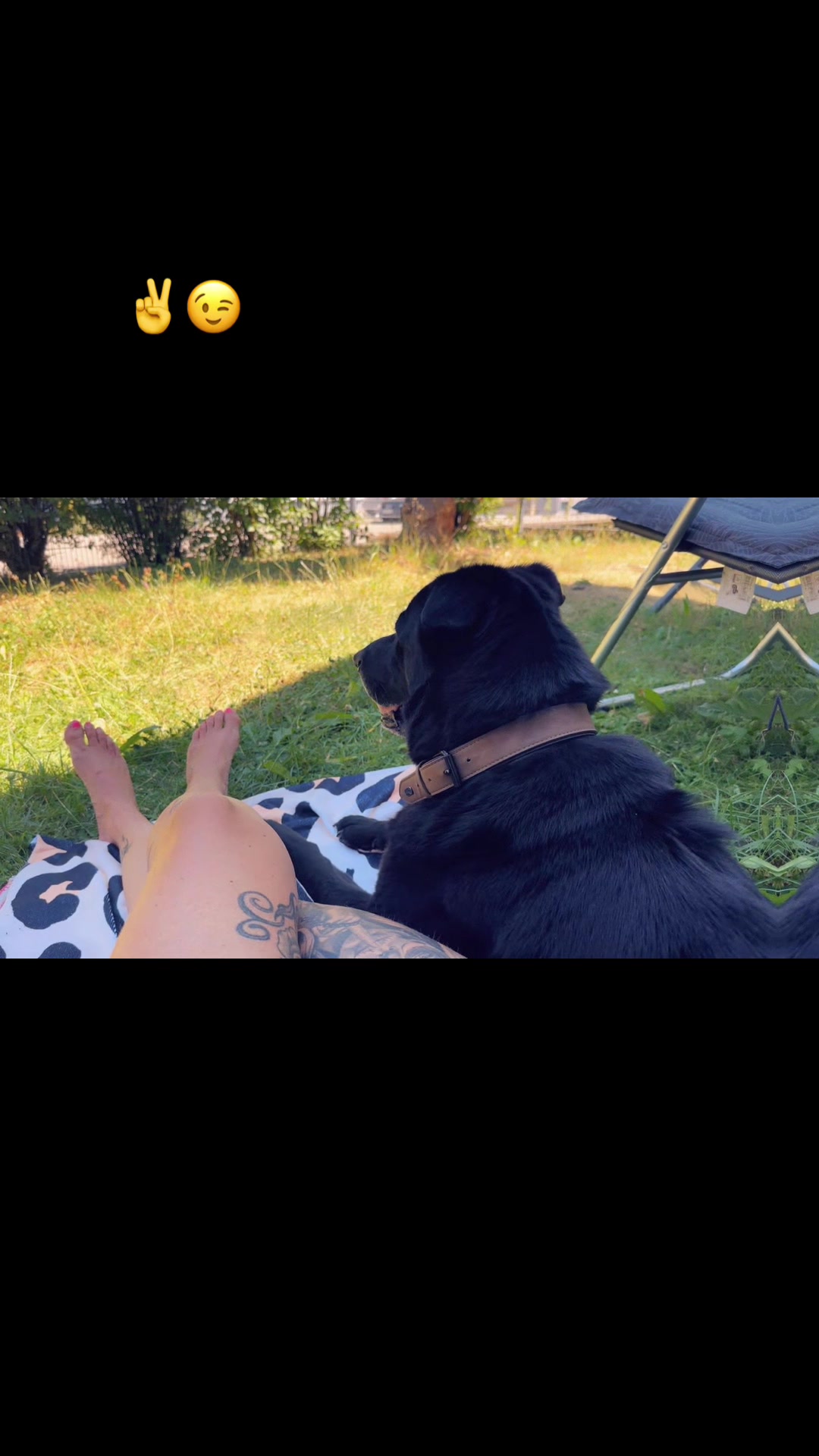 @mi.vida.loca067