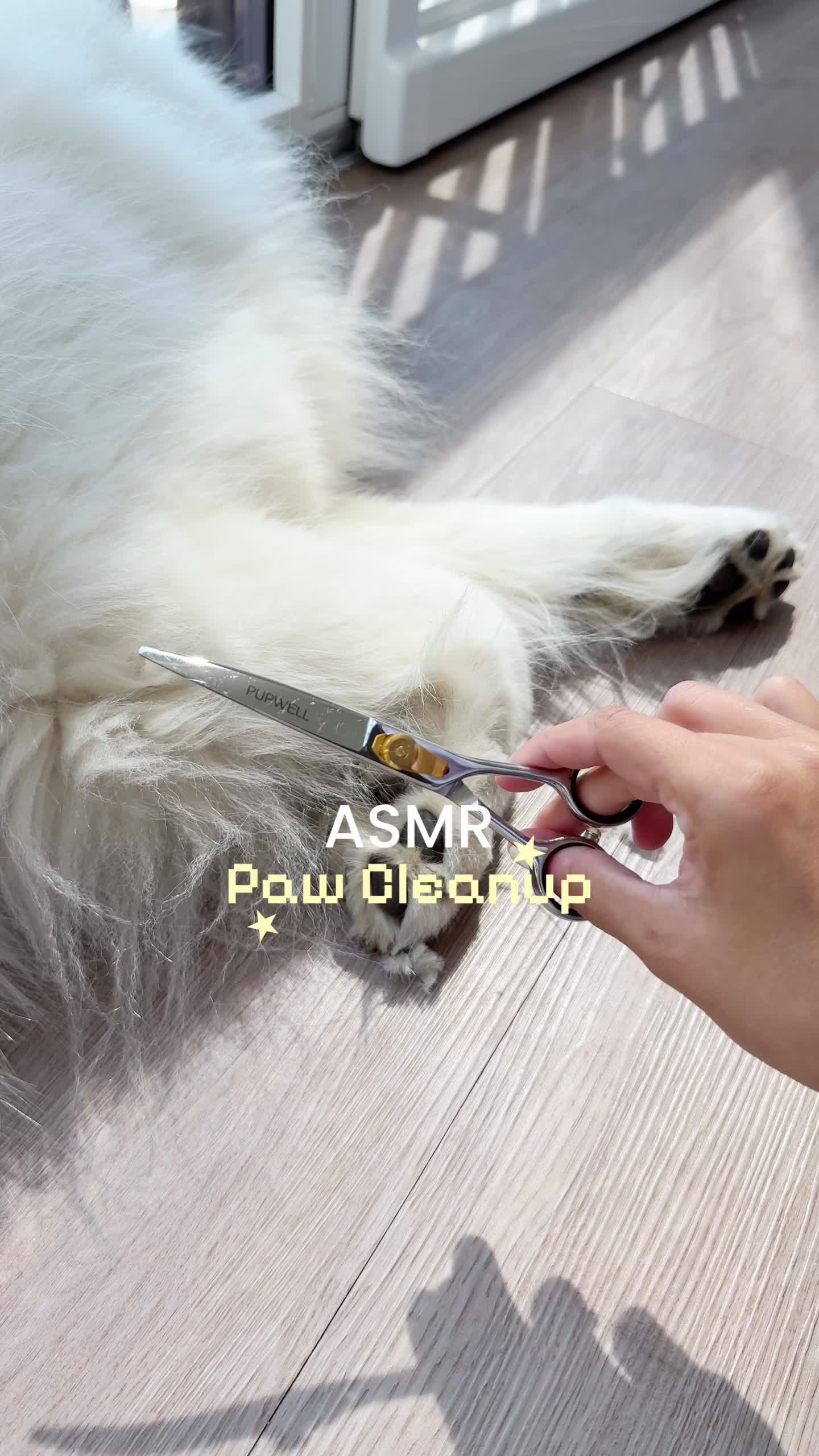 @Pupwell