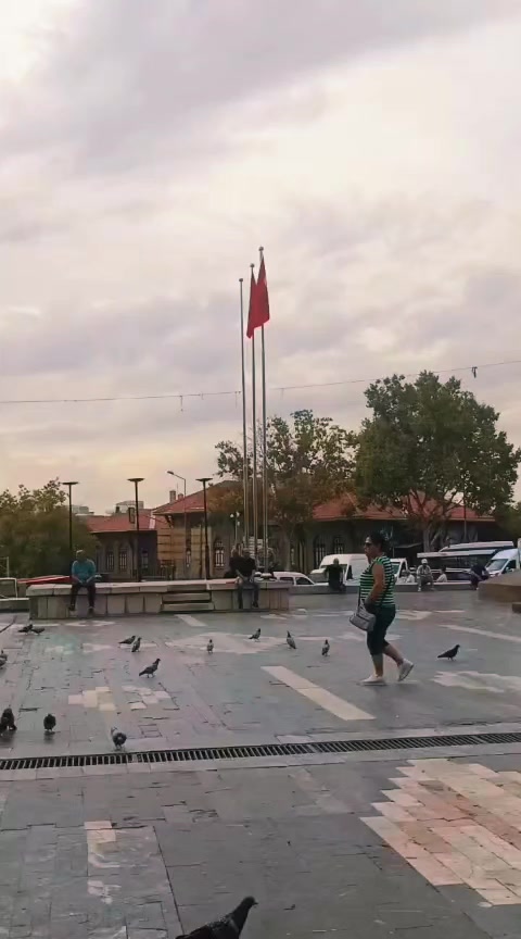 @Nurdan Akın