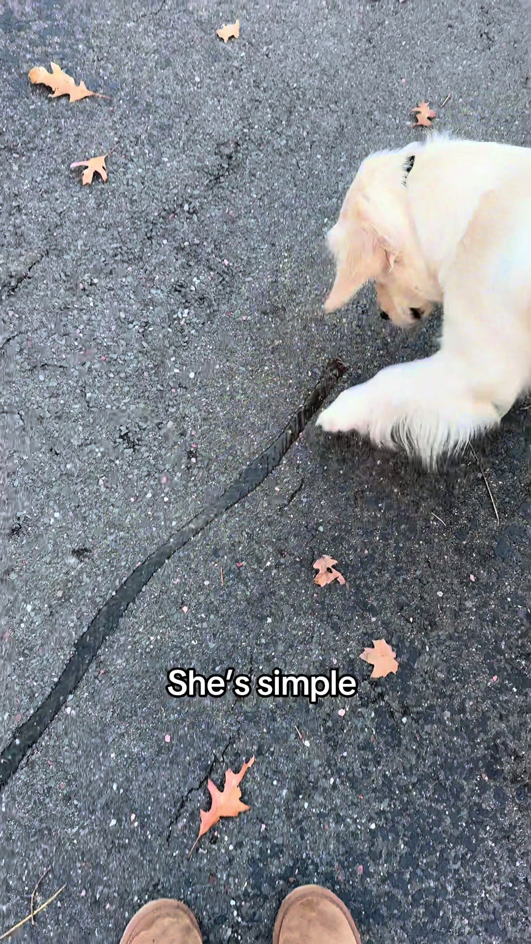 @Francesca
