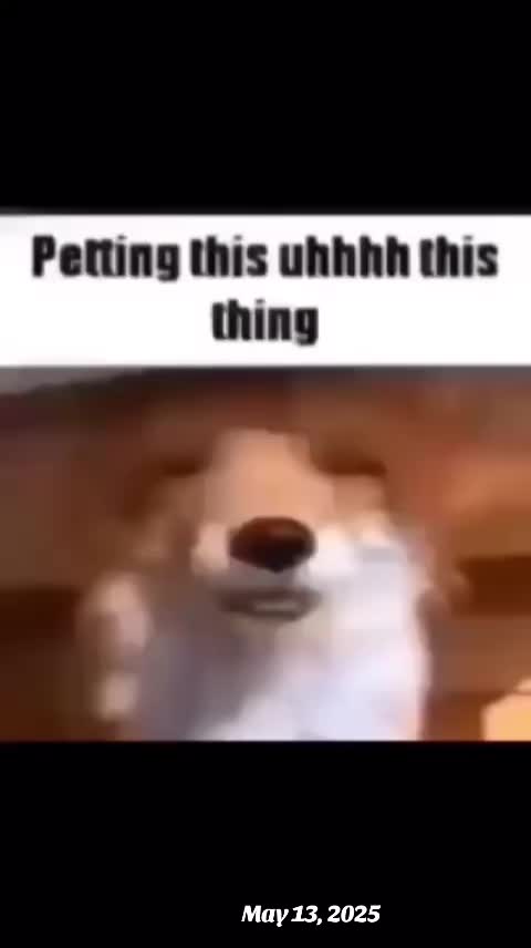 @โ๐๐จ๐ฅ๐๐ฒ๐ง๐งโ