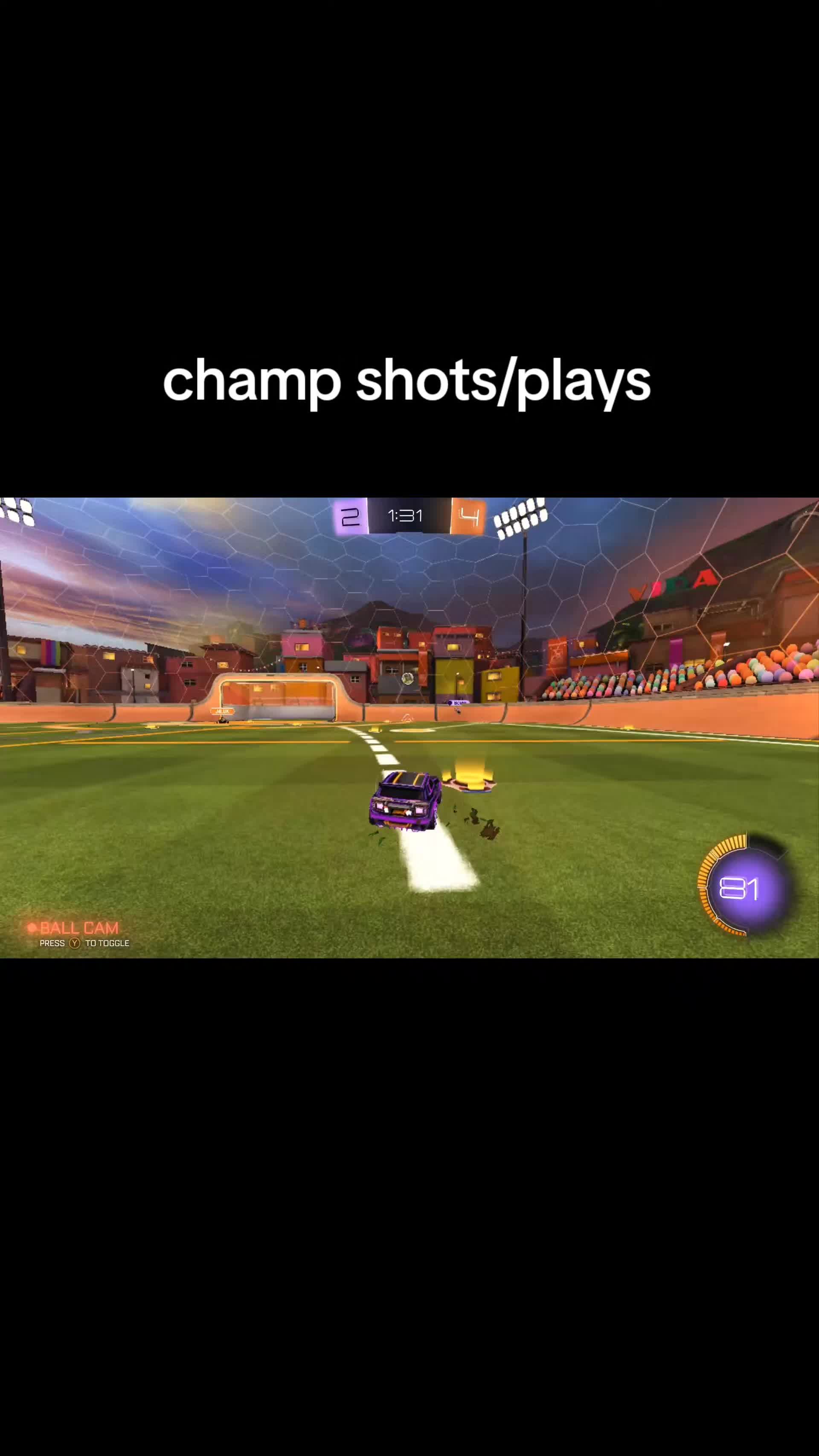 @That1BearGuy - RL