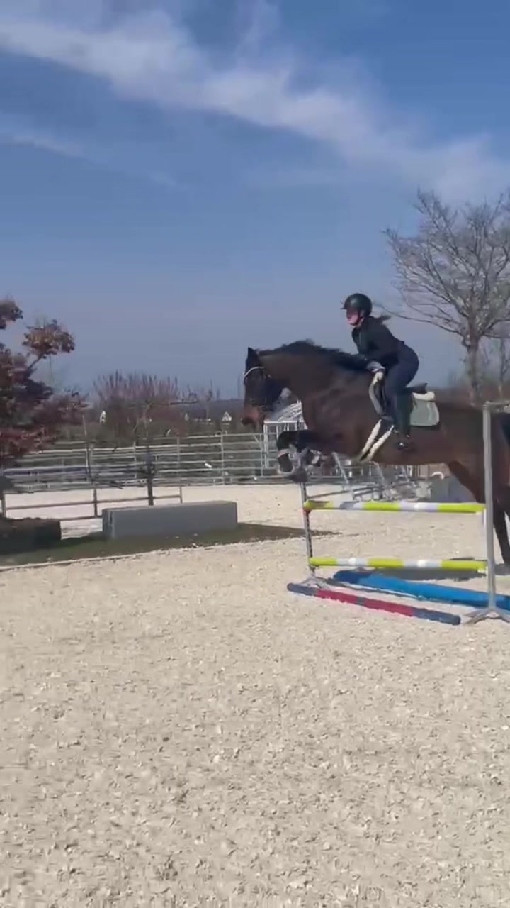 @Horses_rb_