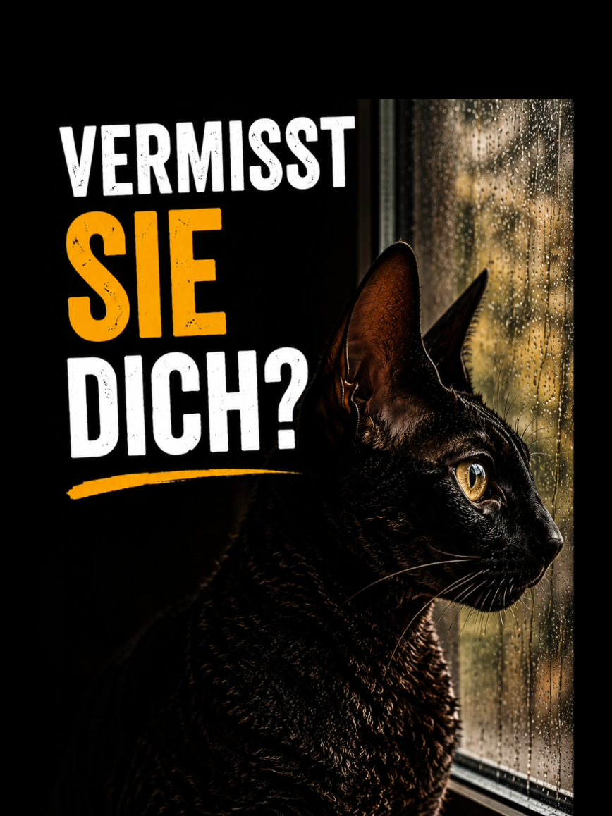 @Nuris Welt