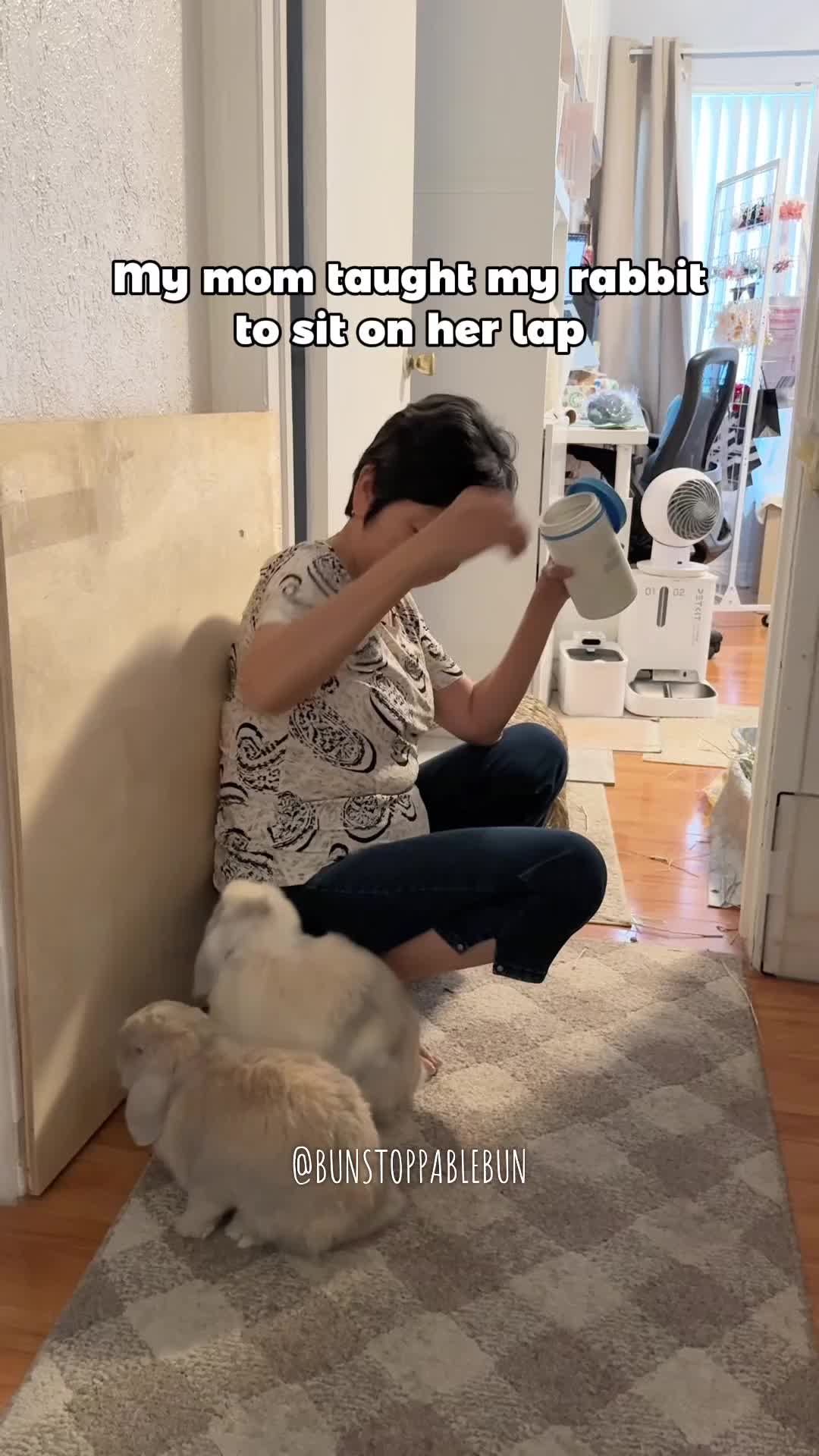 @BunBun, Mochi🌈, Chewy