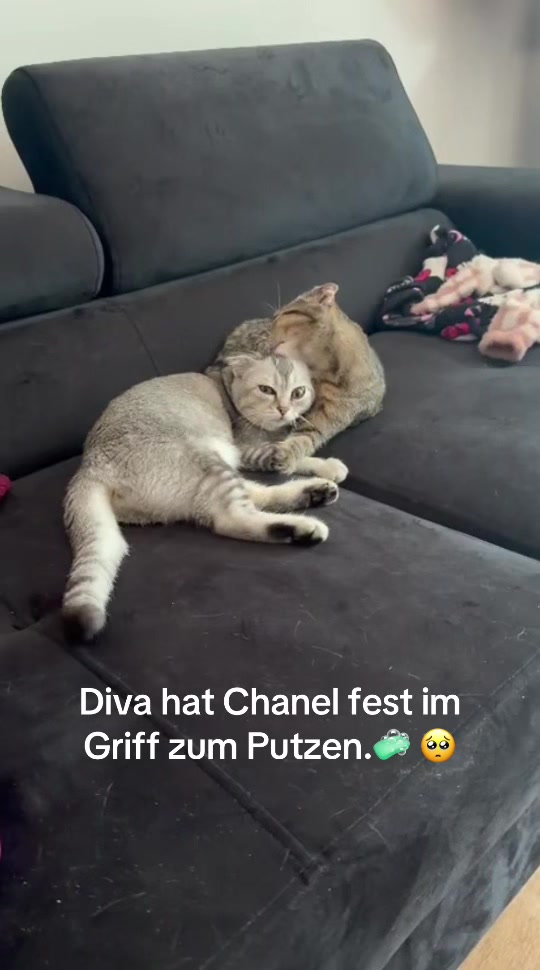 @Divaurteilt