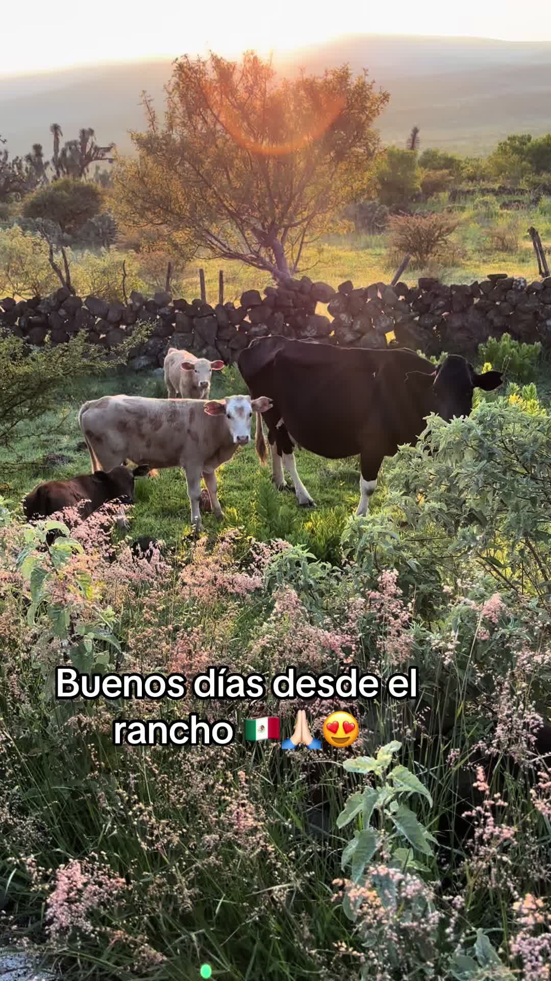 @🎀🇲🇽MARI🇺🇸🎀