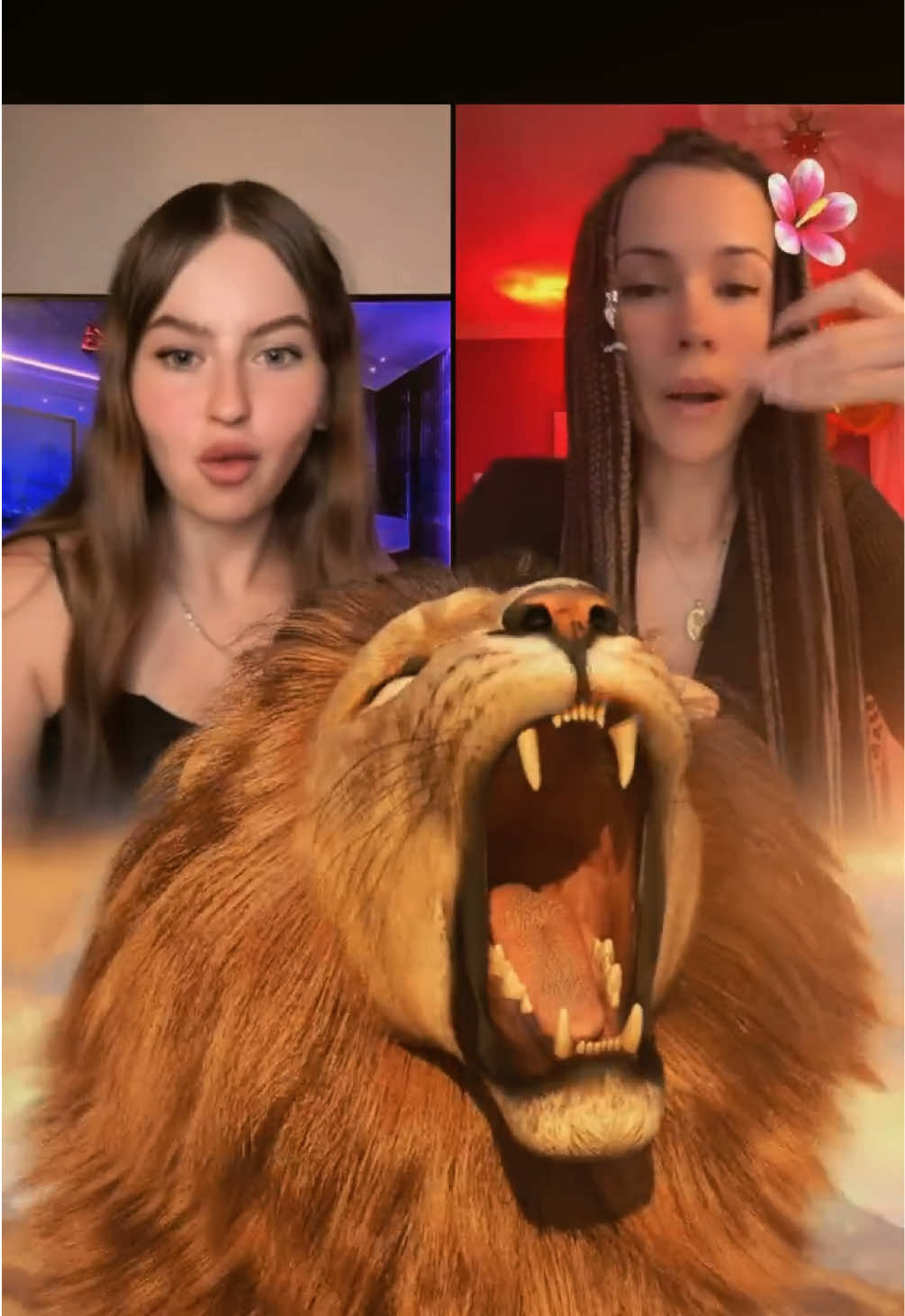 @๐๐๐๐ ๐ฆโจ แดฎแต