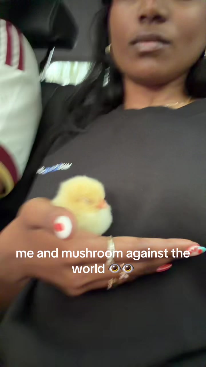 @yashi