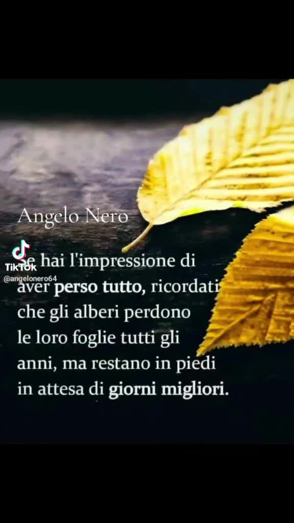 @Sandro Pezzotti