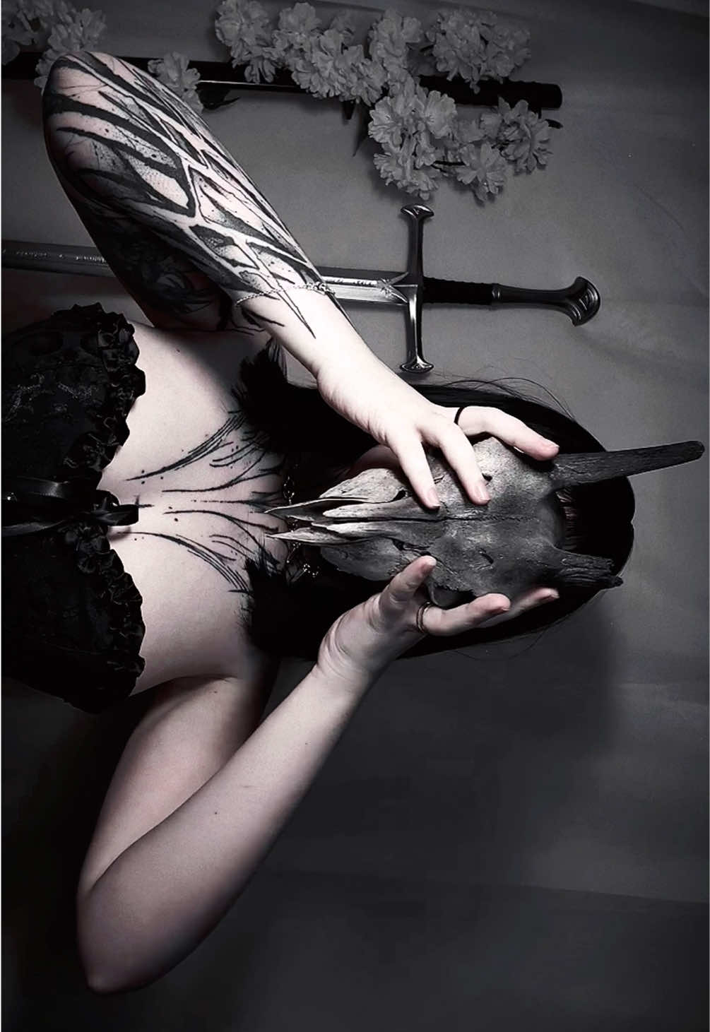 @catana 🕷️