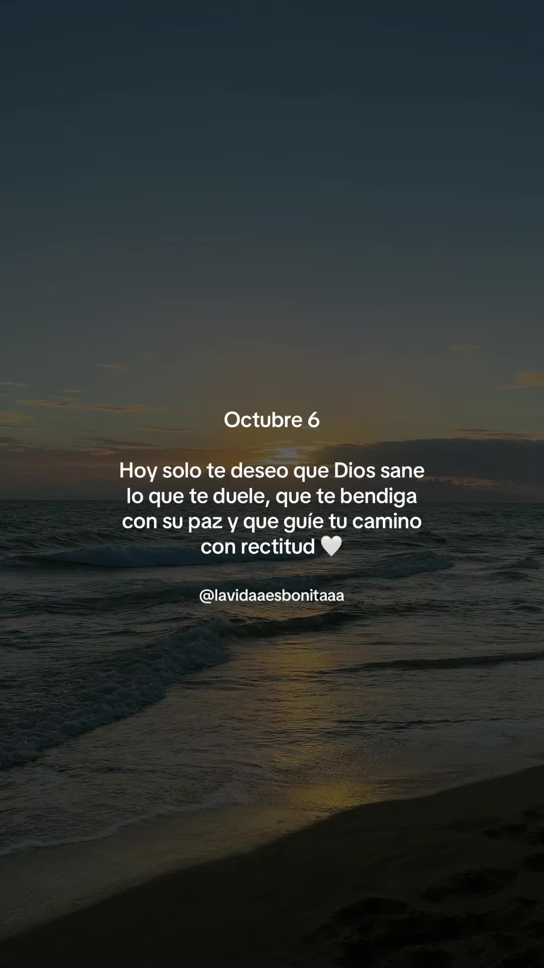 @vidabonita❤️&zwj;🩹